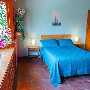 Habitación Estándar con Cama King